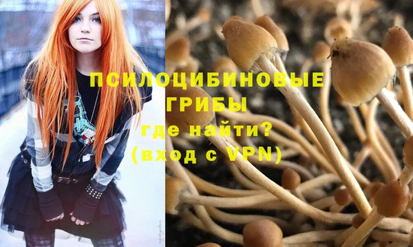 ешки Белоозёрский