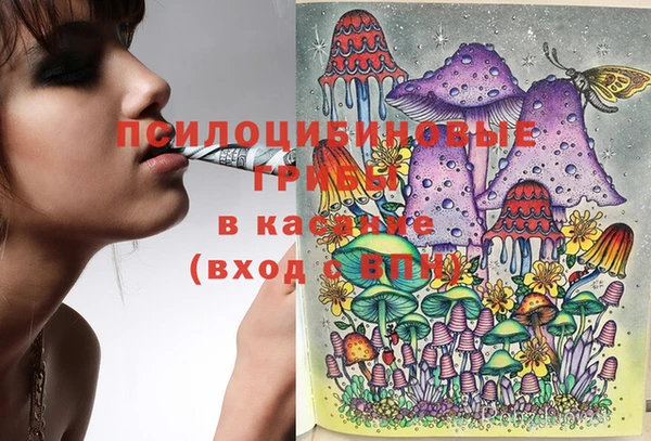 эйфоретик Белокуриха