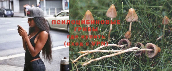ешки Белоозёрский